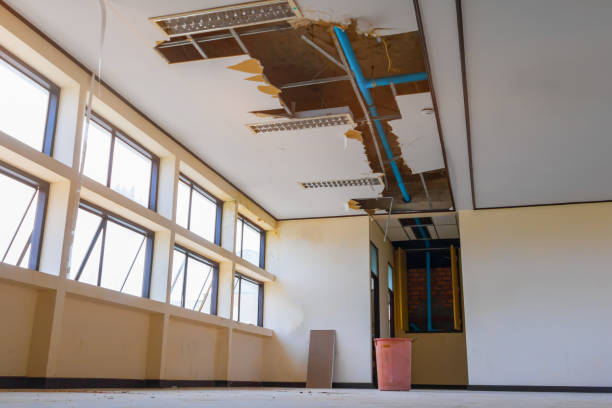 Best Water damage contractors near me  in Masury, OH