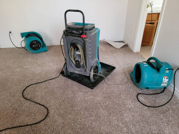 Best Local water damage restoration  in Masury, OH