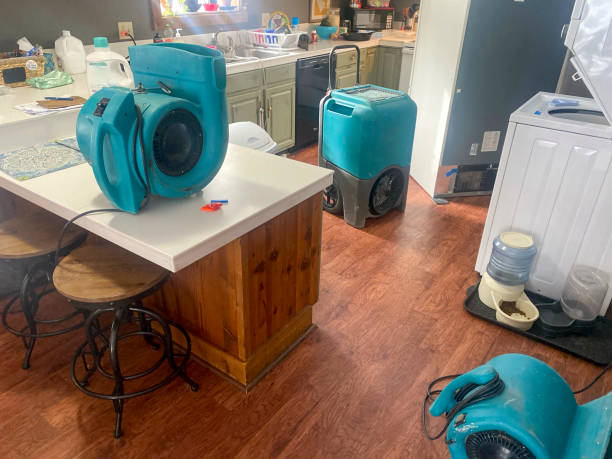 Best Professional water damage repair  in Masury, OH