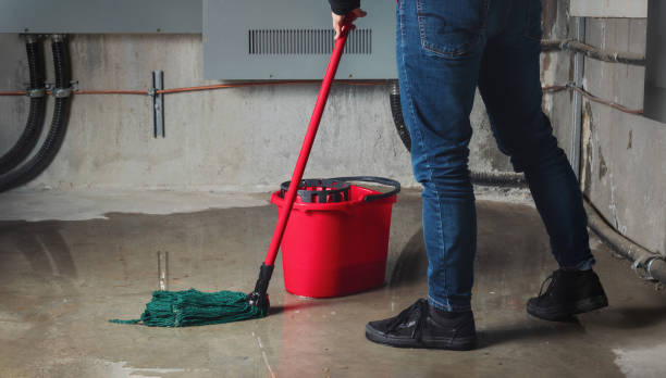 Best Water damage cleanup near me  in Masury, OH