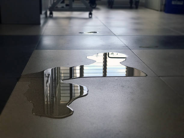 Best Water damage restoration experts  in Masury, OH