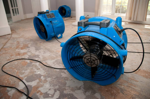 Best Residential water damage restoration  in Masury, OH