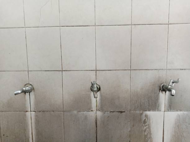 Best Flood damage cleanup  in Masury, OH
