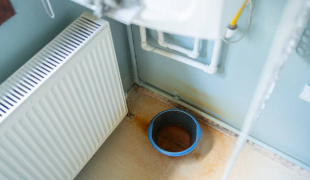 Best Mold removal after water damage  in Masury, OH