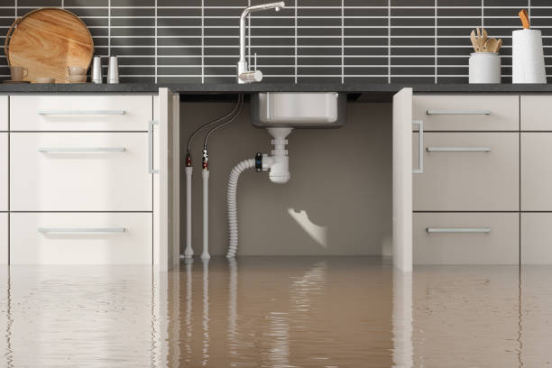 Best Water damage contractors near me  in Masury, OH