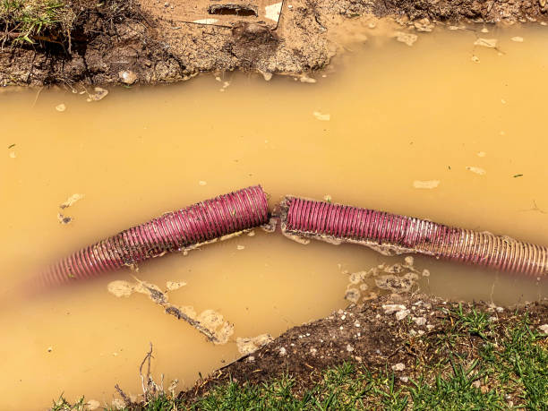 Best Emergency water damage restoration  in Masury, OH