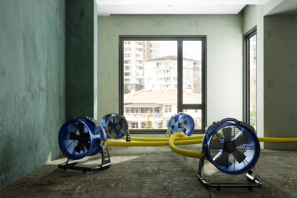 Best Flood restoration services  in Masury, OH