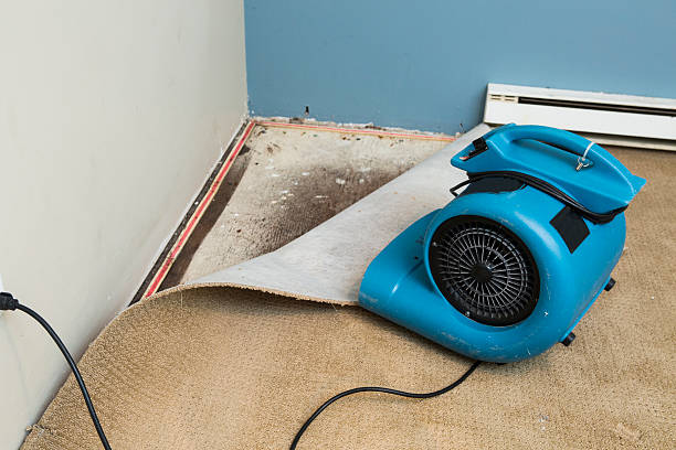 Best Flood damage cleanup  in Masury, OH